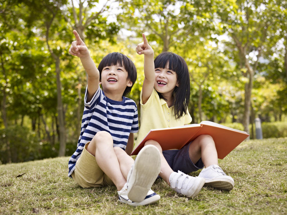 2024国际新闻与传播专业选科要求